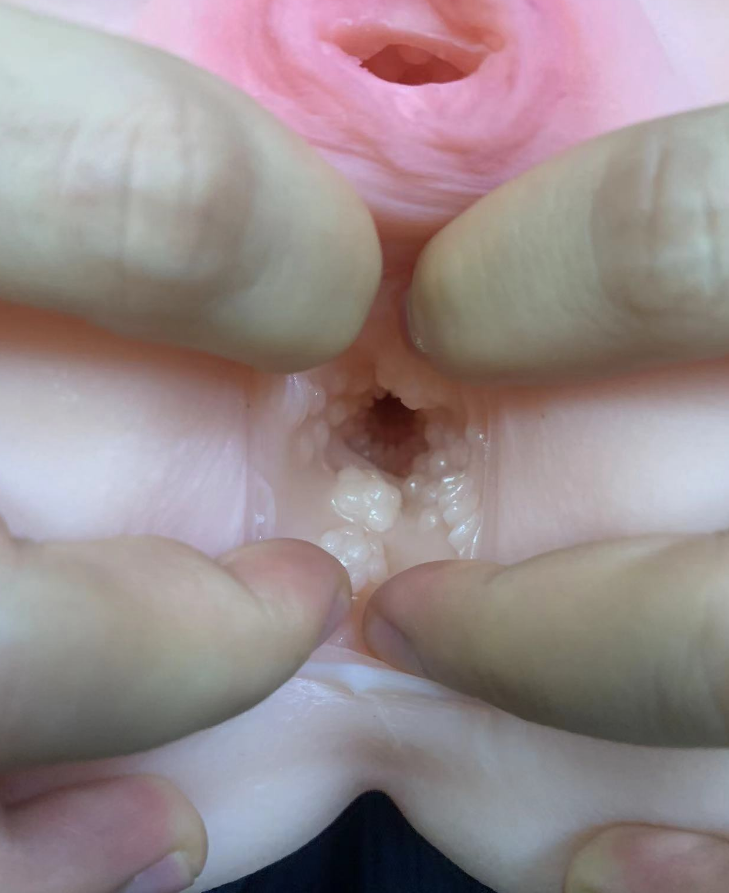 美国taisen梅莉真人阴臀倒模飞机杯详细解析