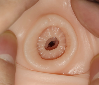 IkebukuroToys(俗称猫头鹰) OL教师深度飞机杯测评:日系高刺激榨汁机的清爽体验