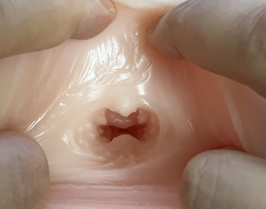 蜜壶香织双通道飞机杯评测:920g肉感榨汁,渐进刺激的“人妻课堂”