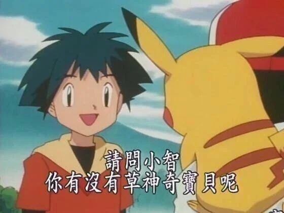 5年机长不传の秘籍|如何选杯and飞机杯推荐