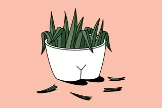 为什么私处的毛毛是卷卷的？   下面痒抠出白色豆腐渣