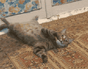 古人避孕有多野?   古代人 避孕