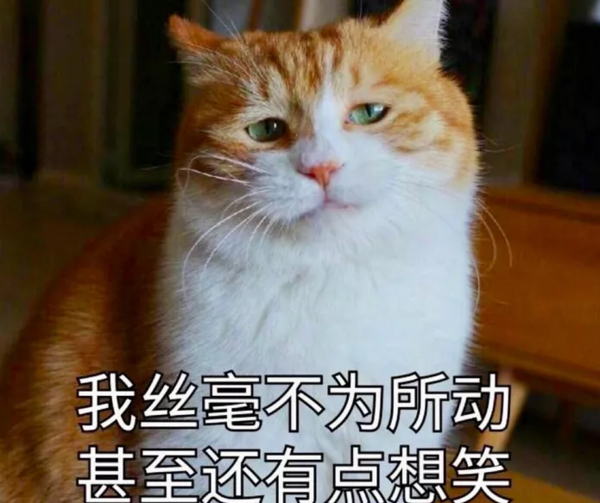 丁丁真的可以二次发育吗？   丁丁网