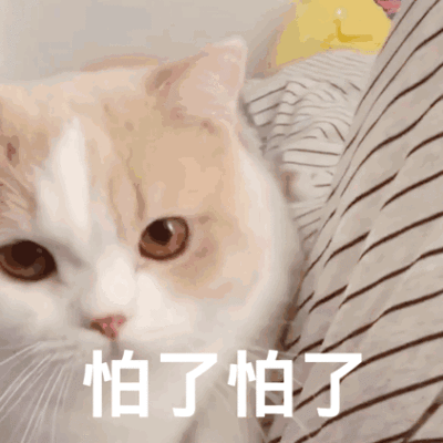 丁丁真的可以二次发育吗？   丁丁网