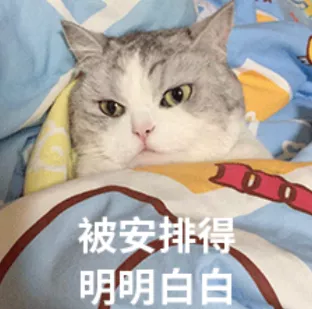 丁丁真的可以二次发育吗？   丁丁网