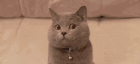 为什么有的人喜欢啪啪啪的时候“打屁屁”？   为什么特别喜欢打屁