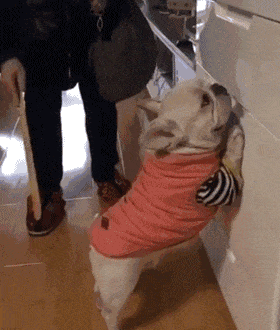 为什么有的人喜欢啪啪啪的时候“打屁屁”？   为什么特别喜欢打屁