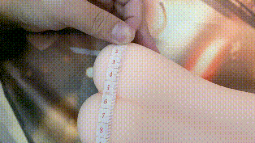 RQS童颜巨O的凉宫凌小姐姐