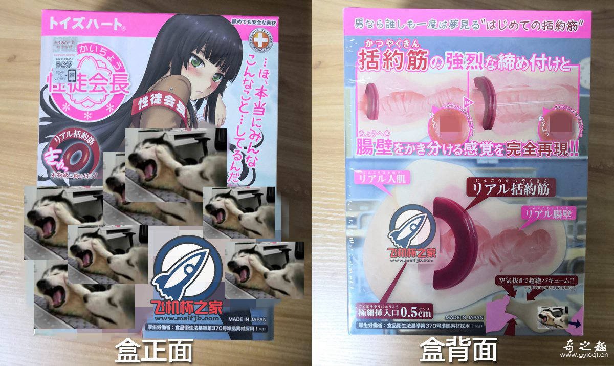 “黑猫会长初体验”—对子哈特性徒会长(中高刺激)评测 – ¥200-400区间 – 3星推荐   对子哈特最