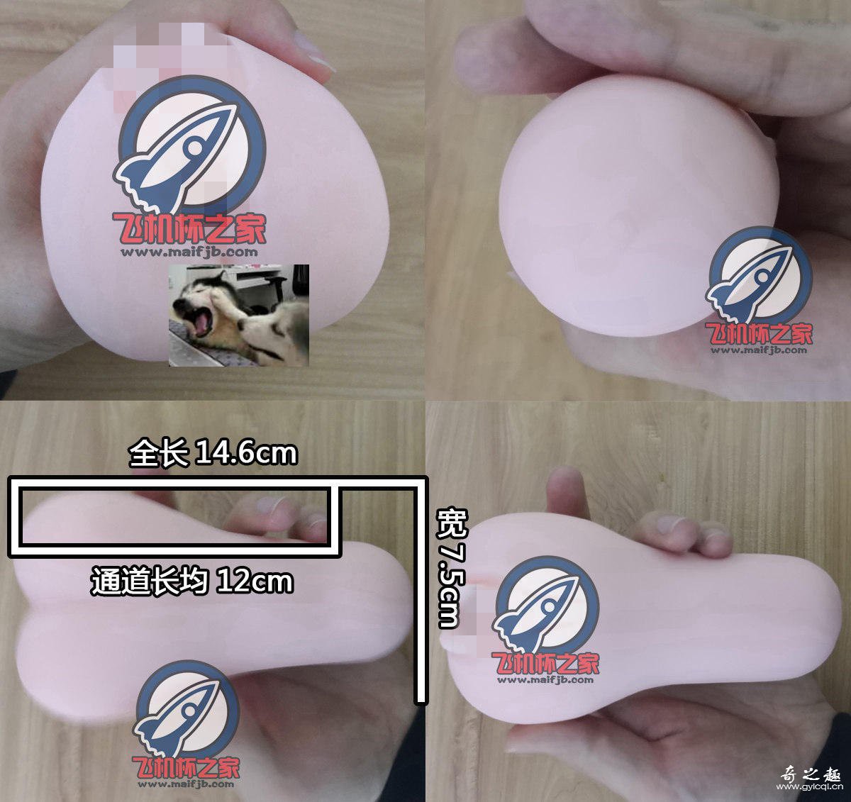 “黑猫会长初体验”—对子哈特性徒会长(中高刺激)评测 – ¥200-400区间 – 3星推荐   对子哈特最