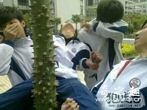 “黑猫会长初体验”—对子哈特性徒会长(中高刺激)评测 – ¥200-400区间 – 3星推荐   对子哈特最