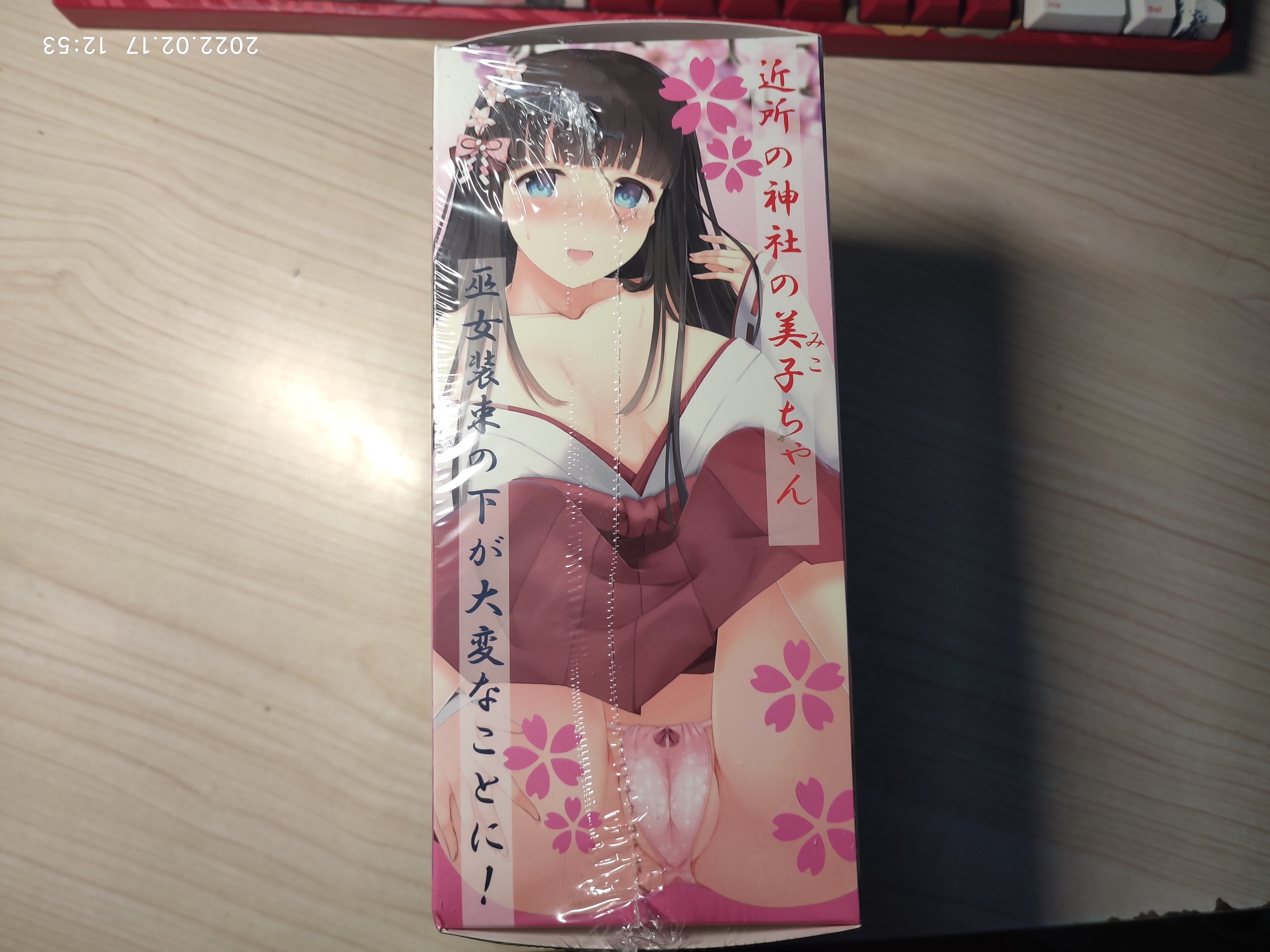 MODE巫女美子-日式巫女的子宫探索