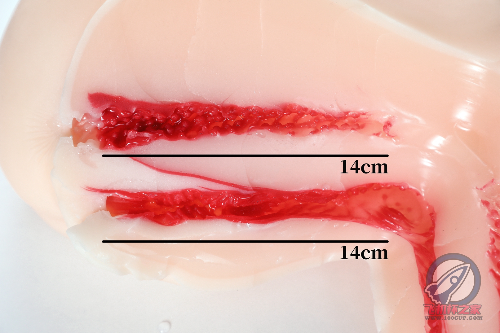 “《脂肪含量超标》”—TMT工口美尻3代（中低刺激）评测
