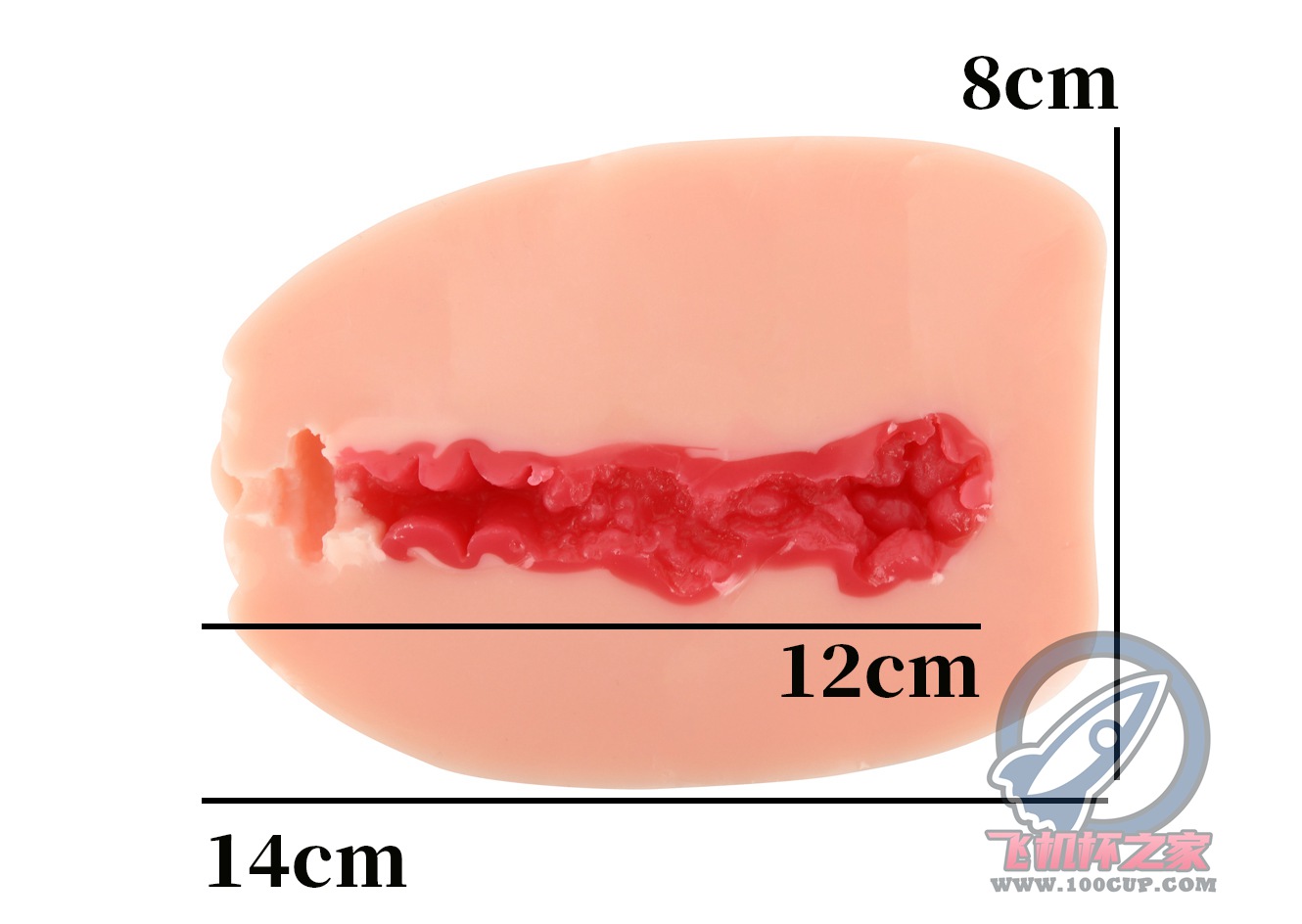 “小伙子，鹅蛋一样大的杯子你“尝过”没？”—紧致肉蛋（中低刺激）评测