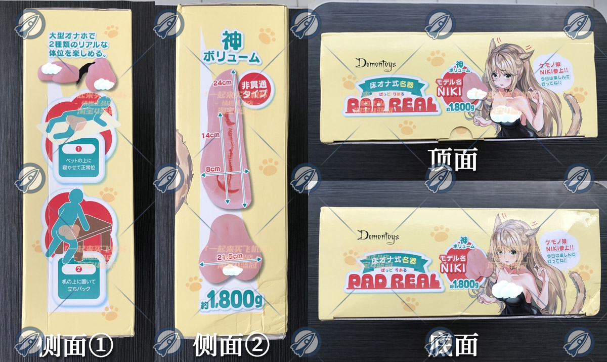 “你不必发力,我自己会投降”—床置型兽耳娘(中刺激)评测