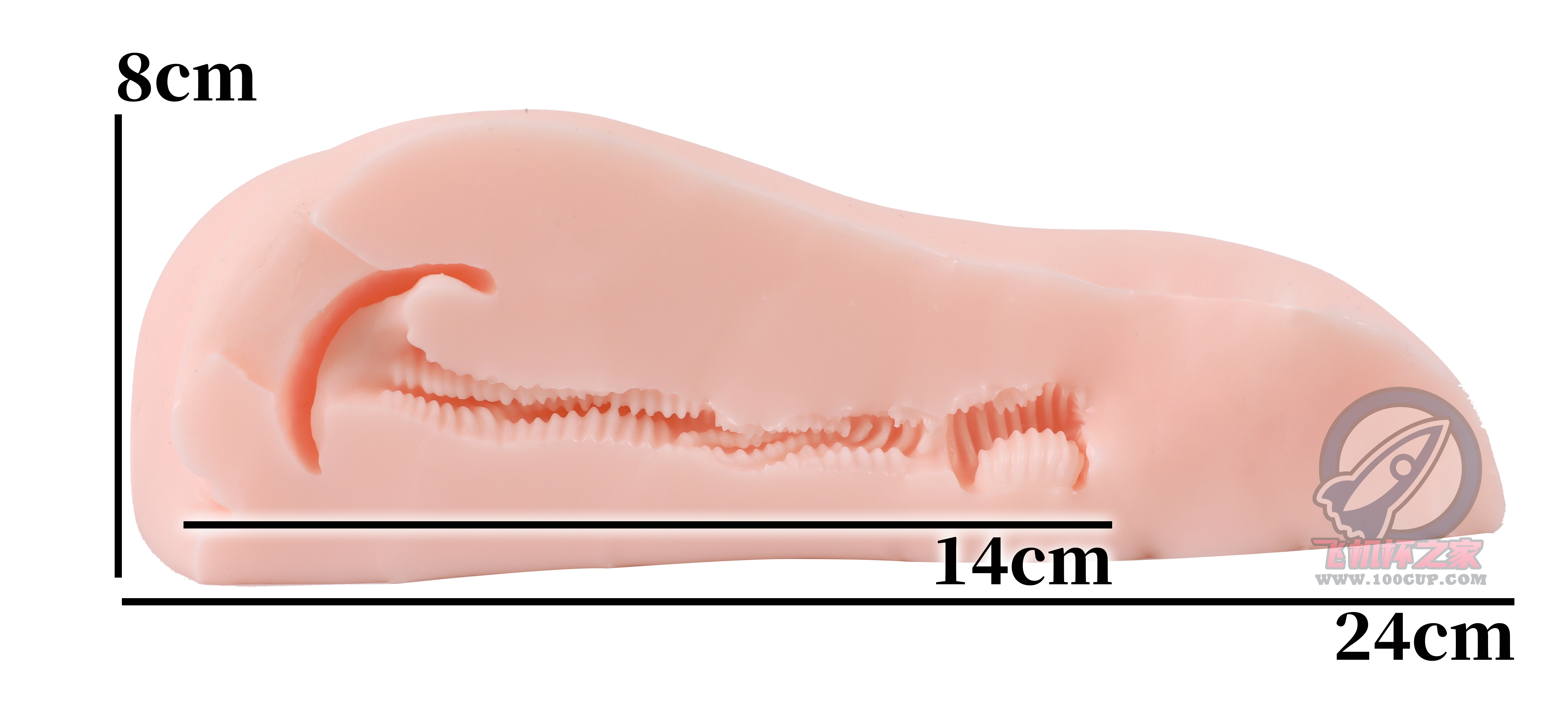 “你不必发力，我自己会投降”—床置型兽耳娘（中刺激）评测