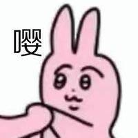“你不必发力,我自己会投降”—床置型兽耳娘(中刺激)评测
