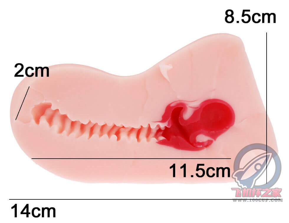 “不是腰果，是杯子！”— 弯曲*宫 加硬版（中高刺激）评测 | ¥200-400区间 – 3.5星推荐