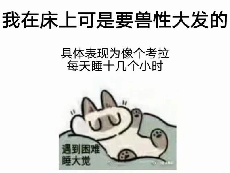 “为你两肋插管”— 哈利路亚(中高刺激)评测