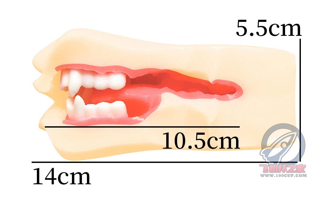 “善逸头顶那一片绿油油的草原…”— 鬼灭八重齿（中高刺激）评测