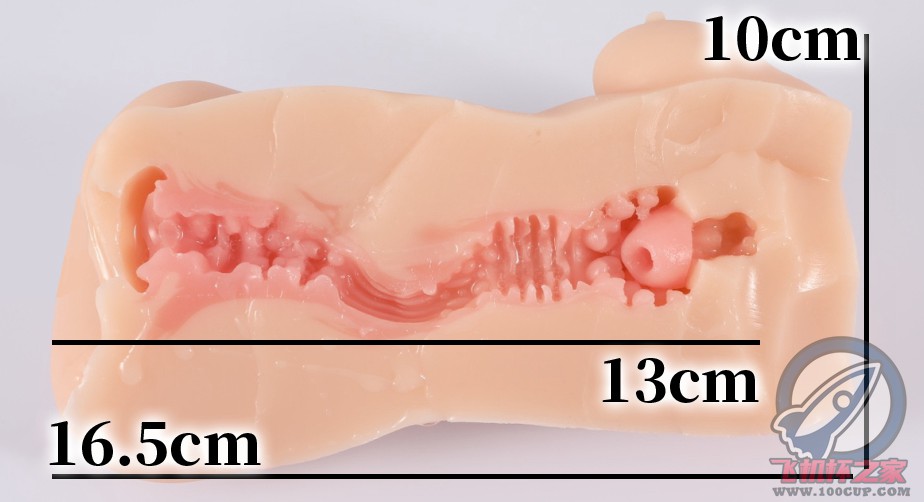 “欢迎来到JK乐园”— JK乐园的秘密（中低刺激）评测