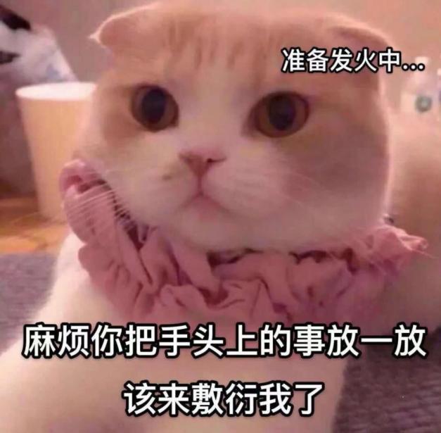 “翻转吧魔法娘!”— 魔法娘(中稍高刺激)评测