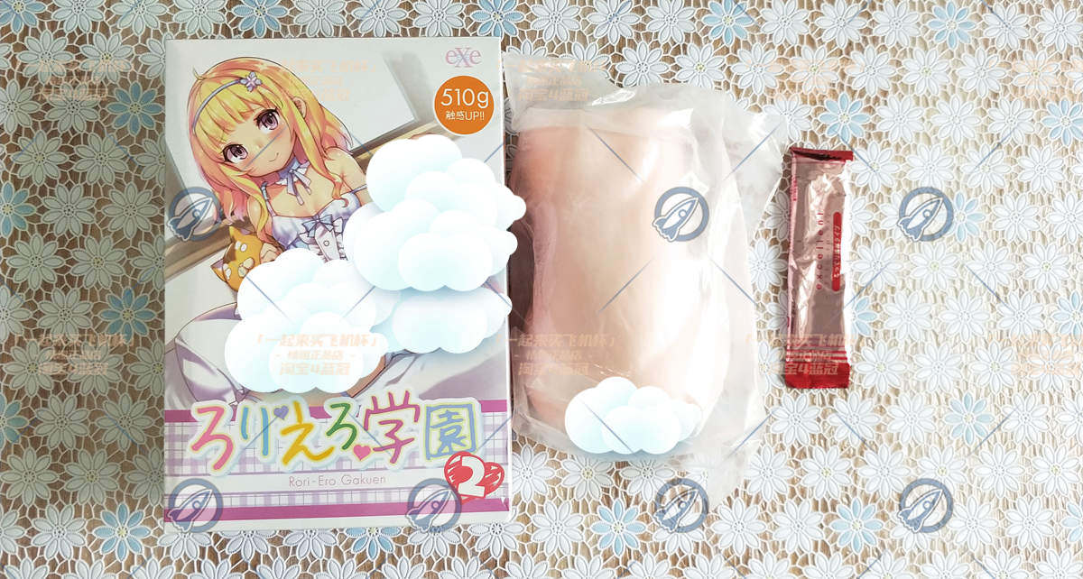 “金发紫瞳似含羞，衣衫半掩曲通幽。”— 光光学园2 柔软版（中低刺激）评测