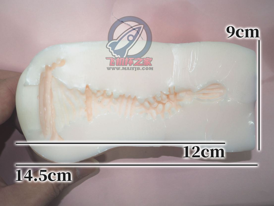 “金发紫瞳似含羞，衣衫半掩曲通幽。”— 光光学园2 柔软版（中低刺激）评测