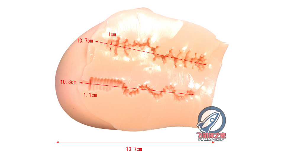“纯洁的身体魅魔的心~”— 纯洁之尻 加硬版（中高刺激）评测