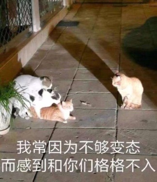 “不会物理的蠕虫怪不是一个好旗袍娘(大雾)”— 旗袍娘(中刺激)评测