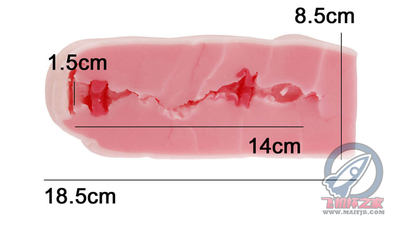 “快进到结婚！ ”— 魔眼新娘宫 柔软版（中刺激）评测