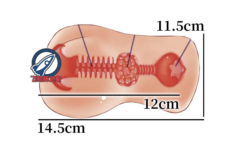 “和你的青春恋爱物语果然没有问题”— 青春物语-小夜（中刺激）评测
