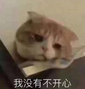 “我不看这些的.jpg”— exe 桥本有菜评测
