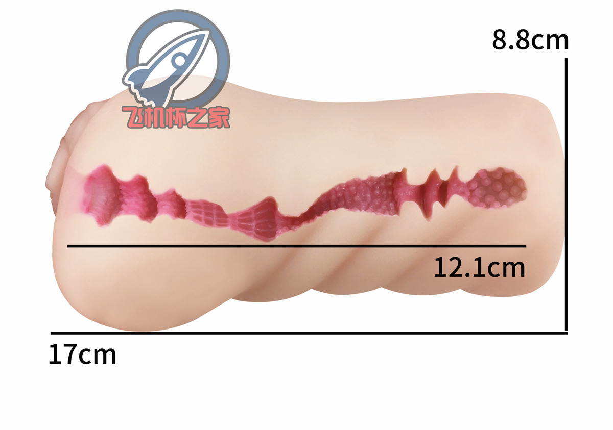 “来得早不如来得巧…”— 本格生素体 葵玲奈（中刺激）评测