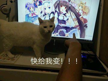 “快给我变!!!”—猫又娘评测