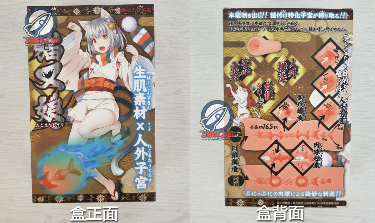 “快给我变！！！”—猫又娘评测