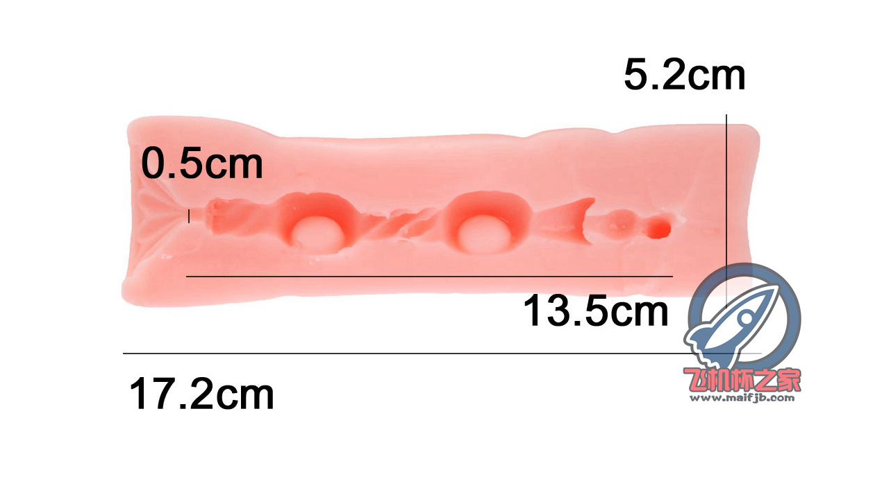 “快给我变！！！”—猫又娘评测