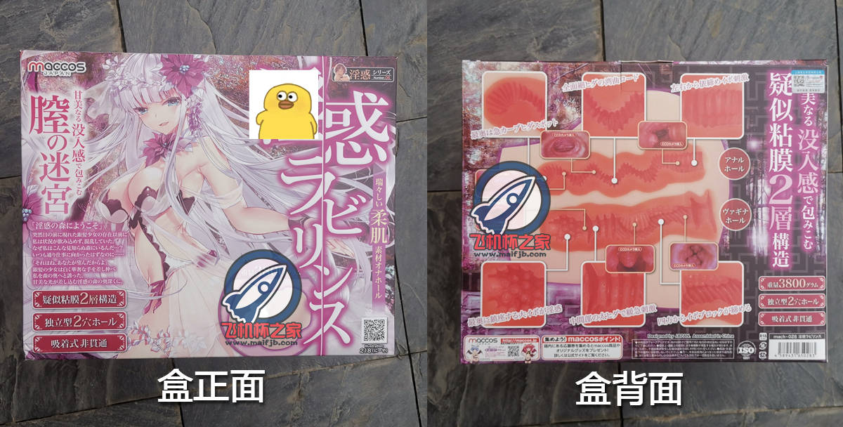 “一步之遥到五星的大屯。”—纯洁之尻成长版评测