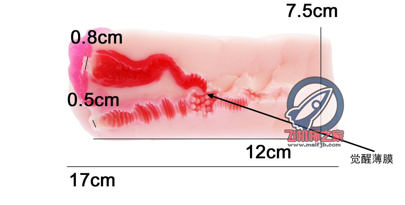 “优点缺点都明显，难以抉择的机体。”—玫瑰新娘 柔软版评测