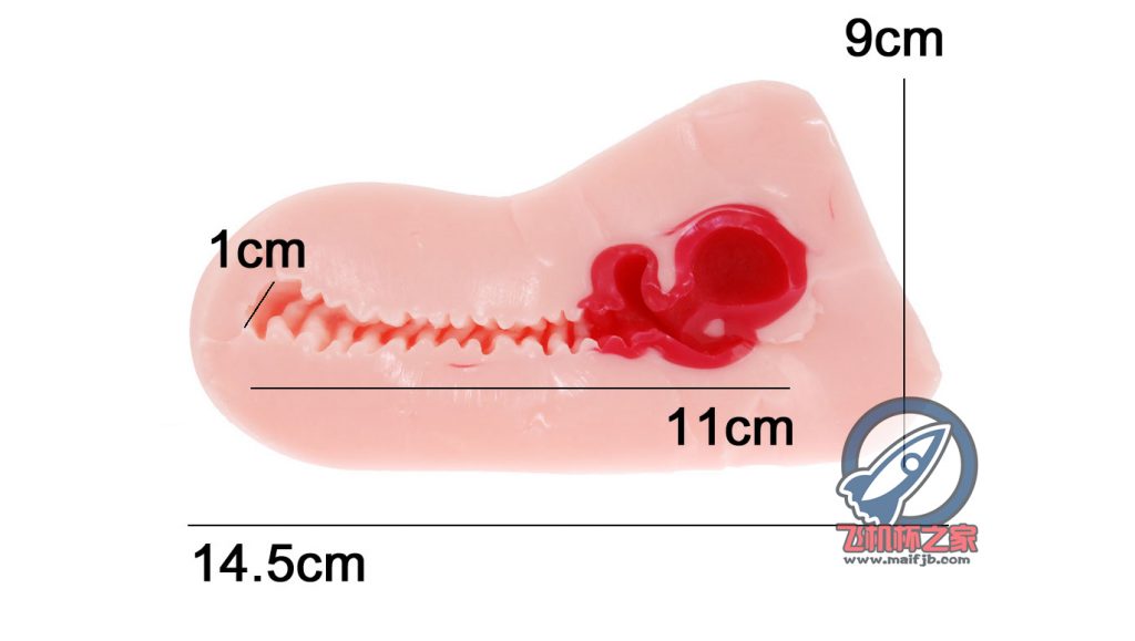 “我的*宫恋爱物语果然有问题！”—弯曲*宫评测