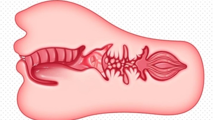 “爱咬东西的康纳”gxp邻家妹仆评测/四星推荐[db:副标题]