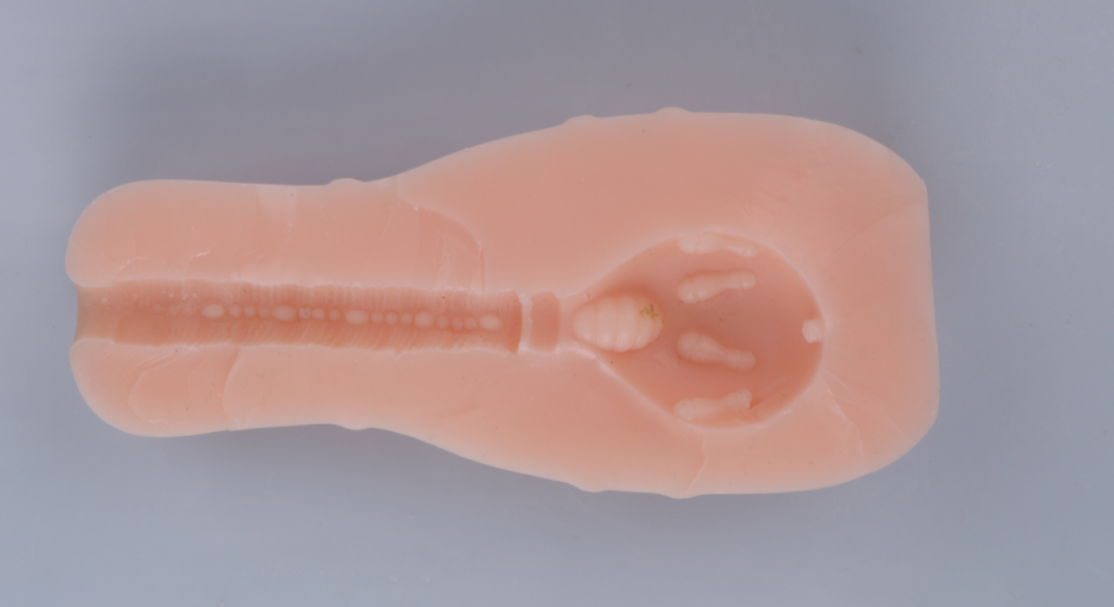 “什么？这竟然是飞机杯？”对子哈特 保龄球 蓝盒评测（低刺激）/四星推荐[db:副标题]