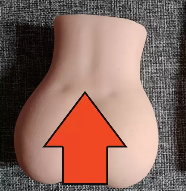 造型可爱的小小臀-杯多多小萌臀飞机杯名器测评