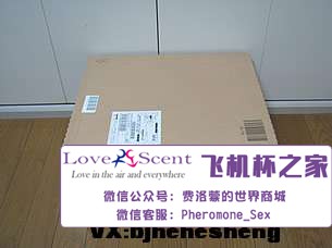 日本Ride Japan VDD动漫名器高肉厚包裹二次元男用飞机杯实测