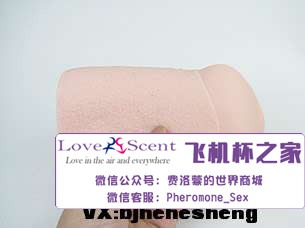 日本Ride Japan VDD动漫名器高肉厚包裹二次元男用飞机杯实测