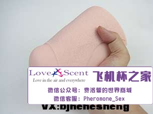 日本Ride Japan VDD动漫名器高肉厚包裹二次元男用飞机杯实测