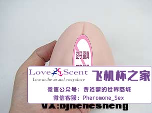 日本Ride Japan VDD动漫名器高肉厚包裹二次元男用飞机杯实测