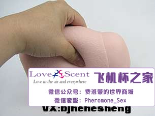 日本Ride Japan VDD动漫名器高肉厚包裹二次元男用飞机杯实测