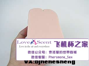 日本Ride Japan VDD动漫名器高肉厚包裹二次元男用飞机杯实测