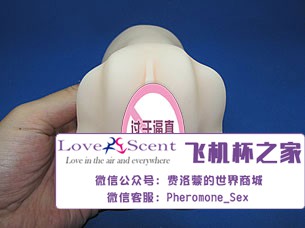 日本进口npg名器证明008飞机杯阴臀倒模实测